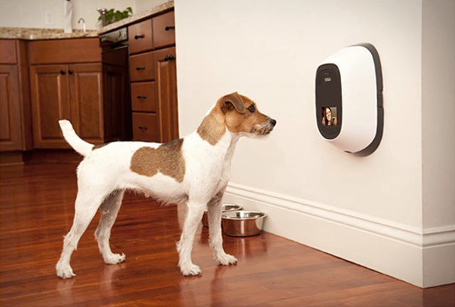 dog camera treat dispenser