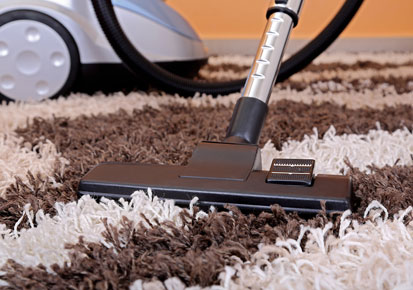 6 Best Carpet Cleaners of 2021 (Reviews & Buying Guide)