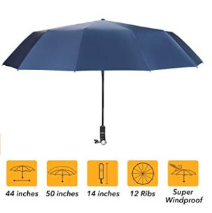 7 Best Umbrella To Keep You Dry (2024)