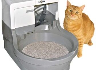 5 Best Self Cleaning Litter Boxes in 2022 (Reviews/Buying Guide)