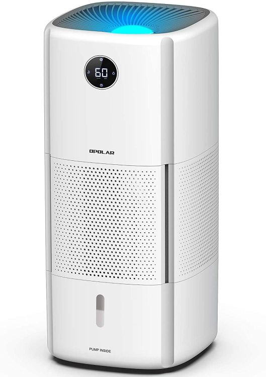 7 Best Whole House Humidifiers in 2024 (Reviews & Guide)