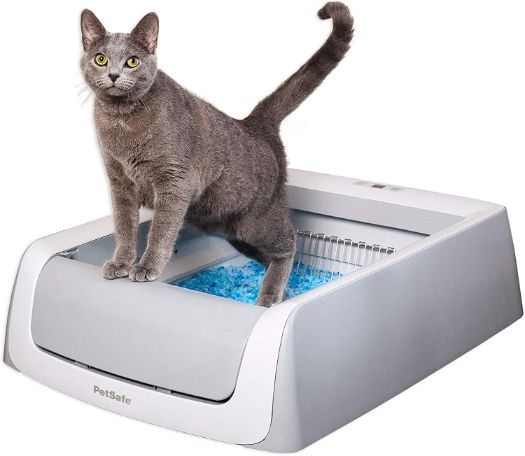PetSafe Self Cleaning Litter Boxes