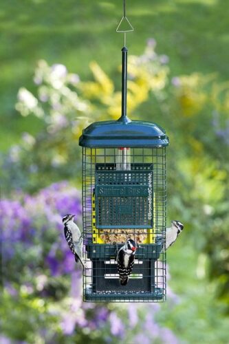 Squirrel Buster Bird Feeders