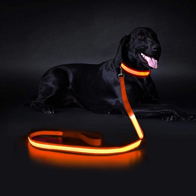 Dog Gifts: Light lease