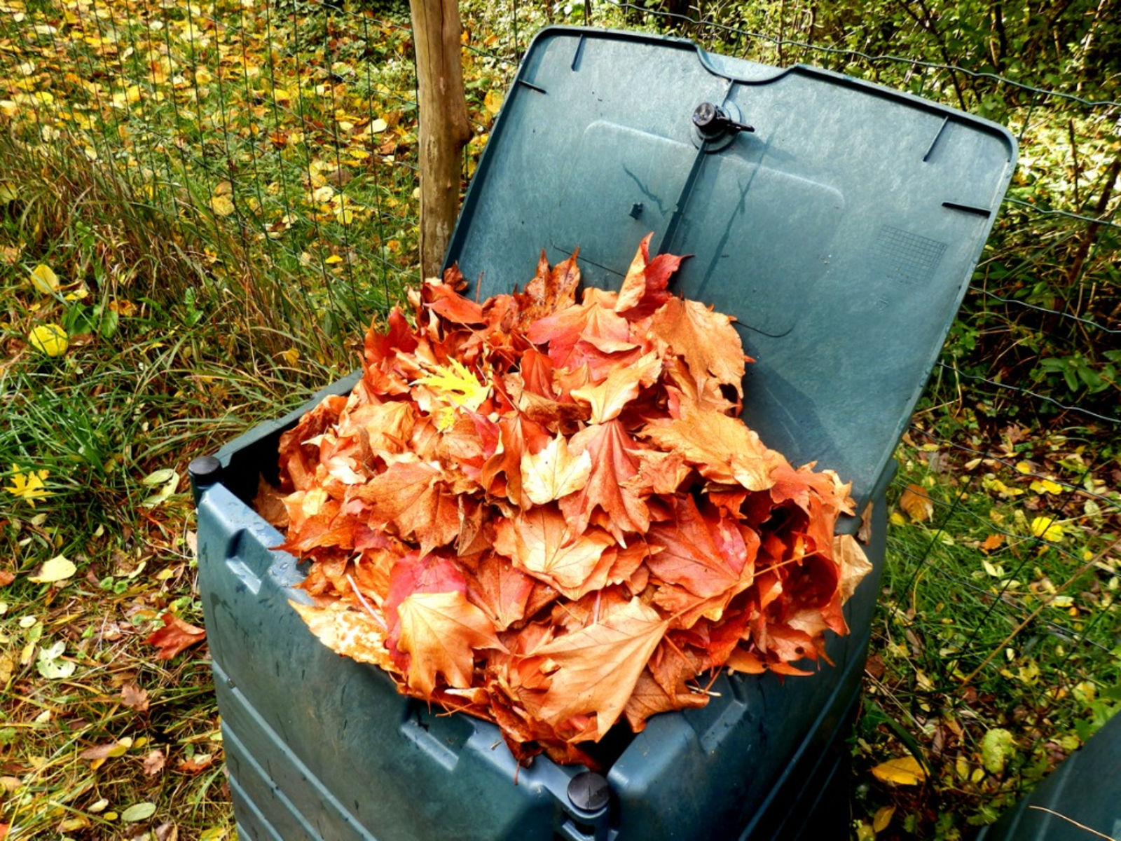 Garden Cleanup Tips: Compost It All