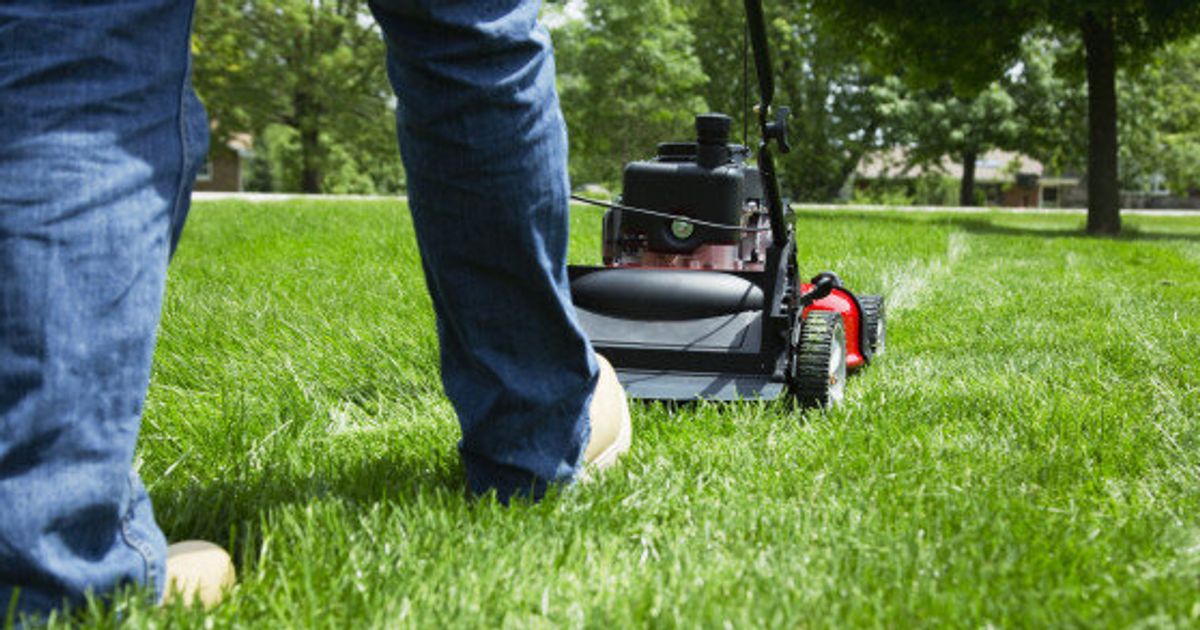 Garden Cleanup Tips: Mowing the Lawn