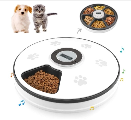 Best Automatic Cat Feeders