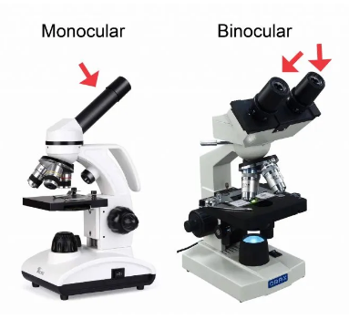 Types of Microscope